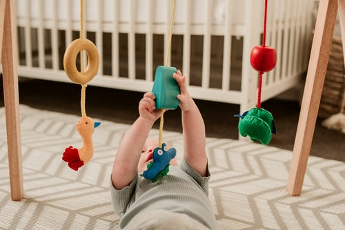 QToys Australia (EE. UU.) Juego de 6 cuencos de coco estampados