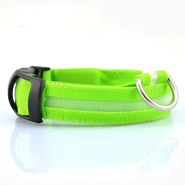 Juego de 2 collares de perro de nailon con LED