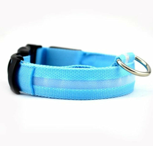 Juego de 2 collares de perro de nailon con LED
