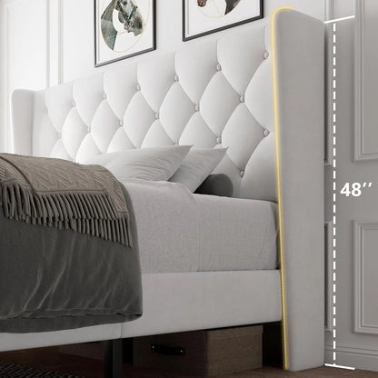 Queen Velvet Platform Bed Button Tufted Upholstered Frame Wooden Slats 8" Underbed Storage No Box Spring Noise Free Easy Assembl