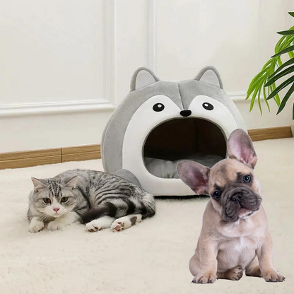 Casa para mascotas con diseño de Zorro de Caricatura