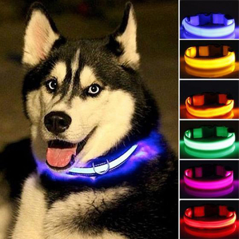 Juego de 2 collares de perro de nailon con LED