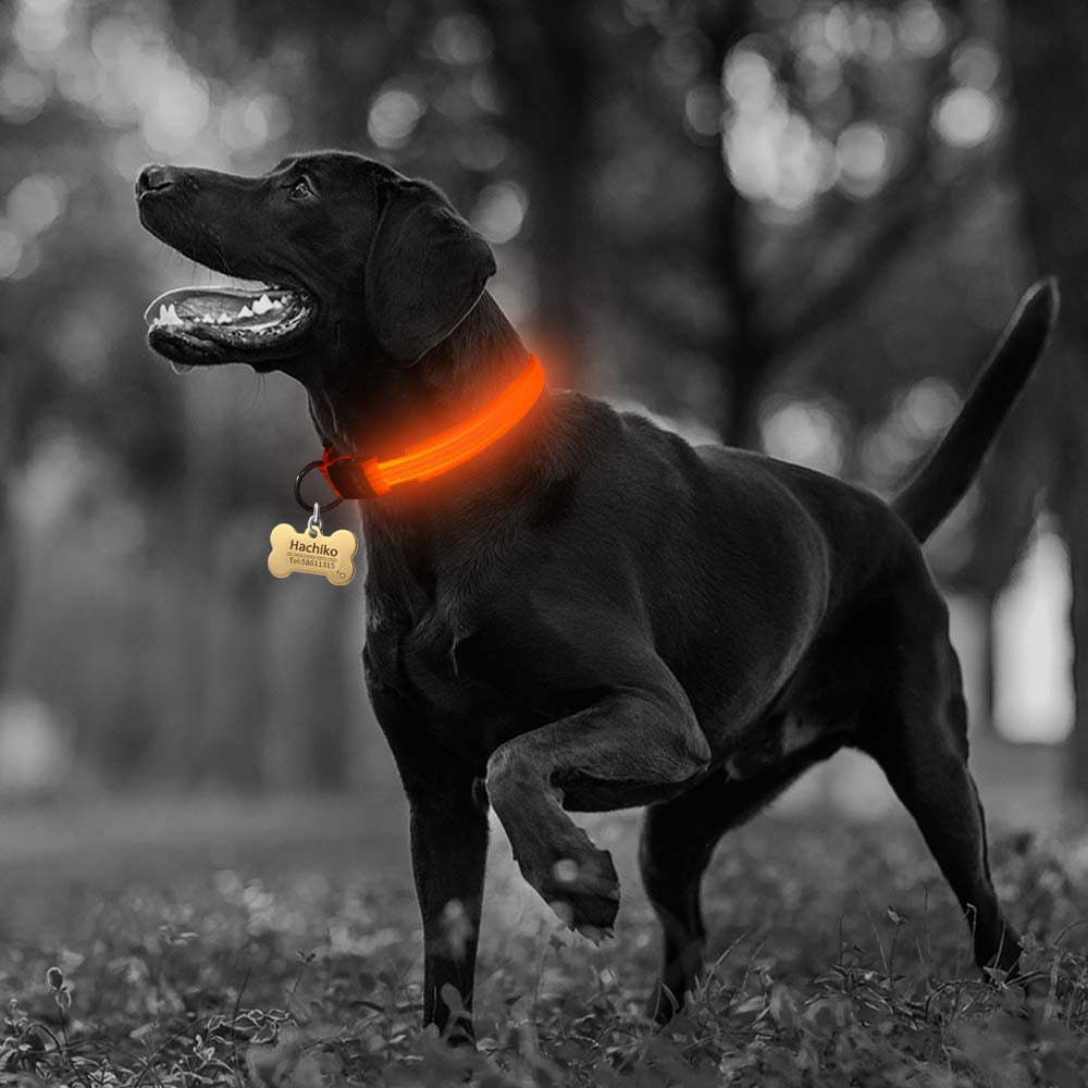Juego de 2 collares de perro de nailon con LED
