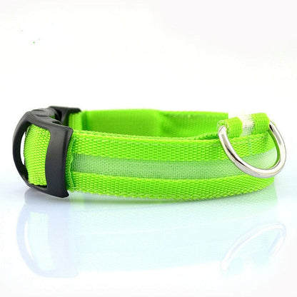 Juego de 2 collares de perro de nailon con LED