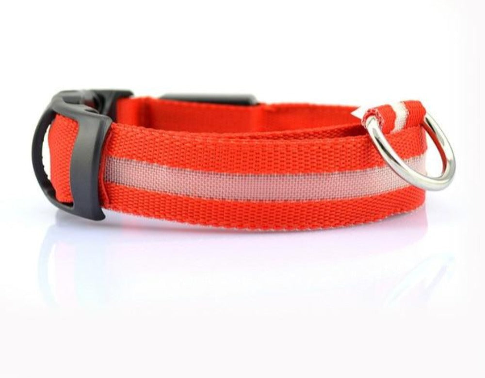Juego de 2 collares de perro de nailon con LED