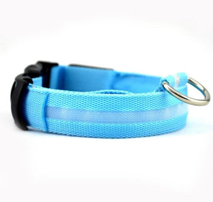 Juego de 2 collares de perro de nailon con LED