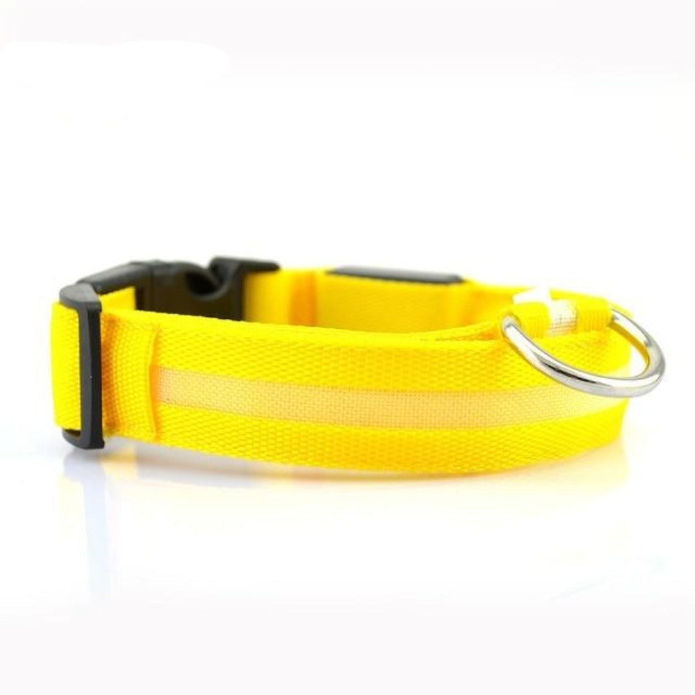 Juego de 2 collares de perro de nailon con LED
