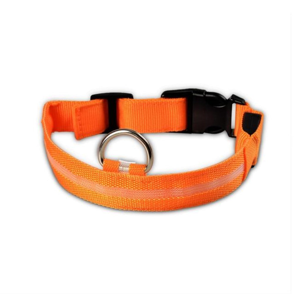 Juego de 2 collares de perro de nailon con LED