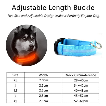 Juego de 2 collares de perro de nailon con LED