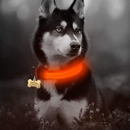 Juego de 2 collares de perro de nailon con LED